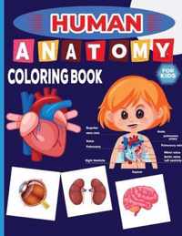 Human Anatomy Coloring Book For Kids