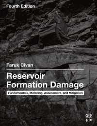 Reservoir Formation Damage