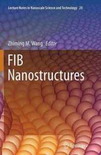 FIB Nanostructures