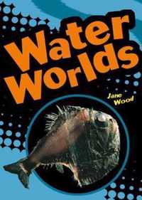 POCKET FACTS YEAR 4 WATER WORLDS