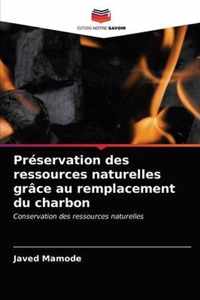 Preservation des ressources naturelles grace au remplacement du charbon