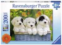 Schattige Puppies (200 Stukken, XXL)