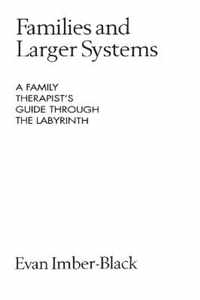 Families and Larger Systems