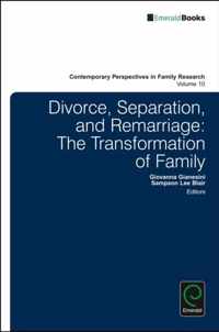 Divorce, Separation, and Remarriage