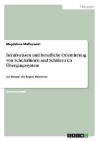 Berufswissen und berufliche Orientierung von Schulerinnen und Schulern im UEbergangssystem