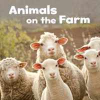 Animals on the Farm