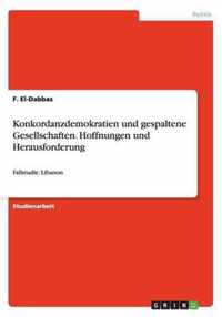 Konkordanzdemokratien und gespaltene Gesellschaften. Hoffnungen und Herausforderung