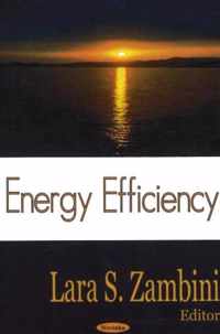 Energy Efficiency