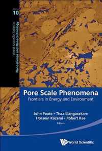 Pore Scale Phenomena: Frontiers In Energy And Environment