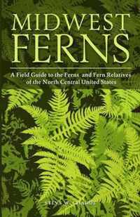 Midwest Ferns