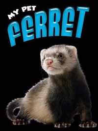 Ferret