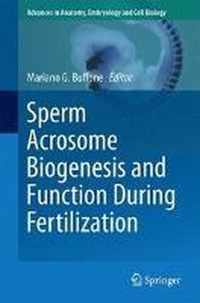 Sperm Acrosome Biogenesis and Function During Fertilization