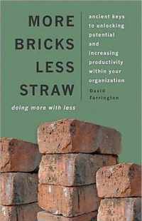 More Bricks Less Straw