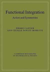 Functional Integration