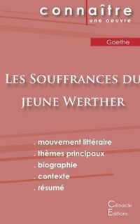 Fiche de lecture Les Souffrances du jeune Werther de Goethe (Analyse litteraire de reference et resume complet)