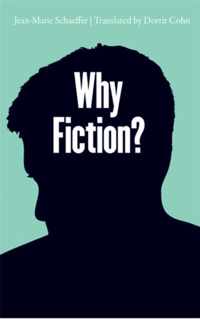 Why Fiction?