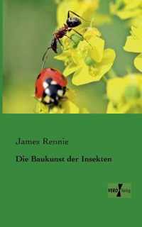 Die Baukunst der Insekten