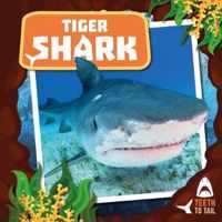 Tiger Shark