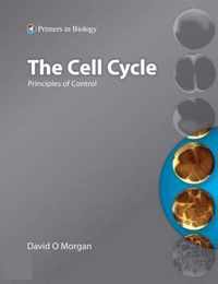 The Cell Cycle