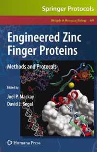 Engineered Zinc Finger Proteins