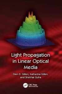 Light Propagation in Linear Optical Media