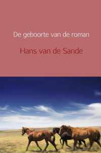 De geboorte van de roman