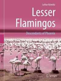 Lesser Flamingos