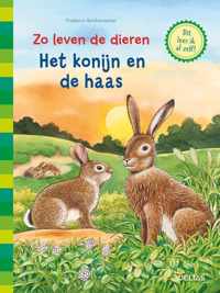 Zo leven de dieren 0 -   Het konijn en de haas