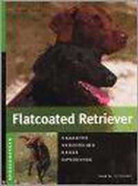 Flatcoated Retriever