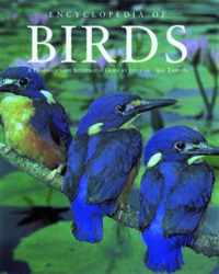 Encyclopedia of Birds