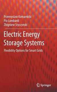 Electric Energy Storage Systems