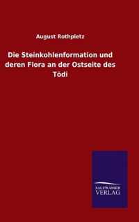 Die Steinkohlenformation und deren Flora an der Ostseite des Toedi