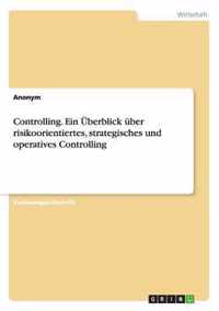 Controlling. Ein UEberblick uber risikoorientiertes, strategisches und operatives Controlling