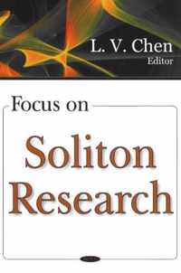 Focus on Soliton Research