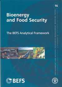 Bioenergy and Food Security