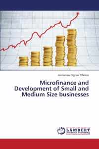 Microfinance and Development of Small and Medium Size businesses