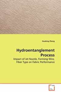 Hydroentanglement Process