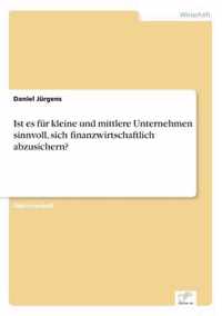 Ist es fur kleine und mittlere Unternehmen sinnvoll, sich finanzwirtschaftlich abzusichern?