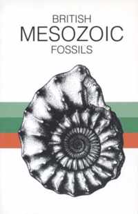 British Mesozoic Fossils