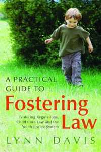 Practical Guide To Fostering Law