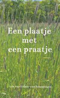 Een plaatje met een praatje - Lies van Velzen-van Scheppingen - Paperback (9789464487152)