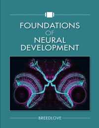 Foundations of Neural Development