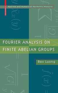 Fourier Analysis on Finite Abelian Groups