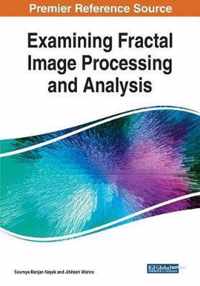 Examining Fractal Image Processing and Analysis