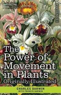 The Power of Movement in Plants