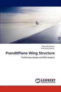 PrandtlPlane Wing Structure