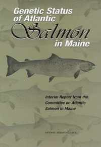 Genetic Status of Atlantic Salmon in Maine