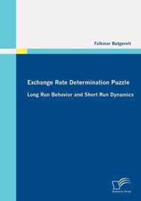 Exchange Rate Determination Puzzle