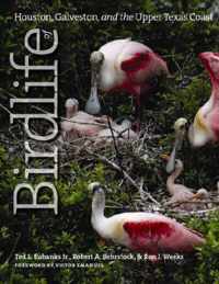 Birdlife of Houston, Galveston, and the Upper Texas Coast