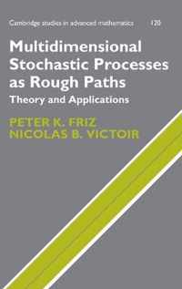 Multidimensional Stochastic Processes As Rough Paths